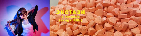 мдпв Богородск