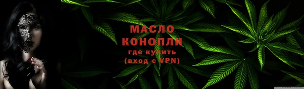 mdpv Бородино