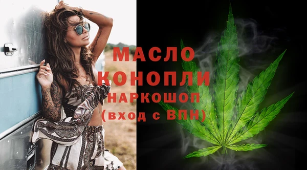 мдпв Богородск