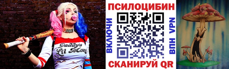 где купить наркоту Дальнегорск Галлюциногенные грибы Psilocybe
